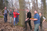 Gruppe von Schülern steht um einen Baum und vermisst diesen.