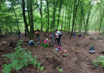 Waldtag 2025 03 1